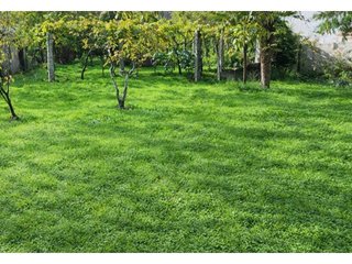 Terreno en venta en Universidad en Ourense