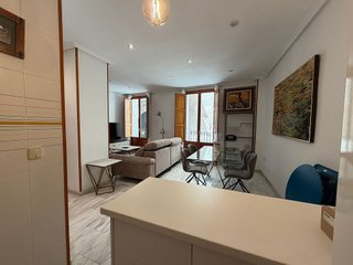 Piso en alquiler en Casco Antiguo - Santa Cruz en Alicante