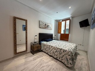 Piso en alquiler en Casco Antiguo - Santa Cruz en Alicante