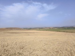 Terreno en venta en Arcos de la Frontera
