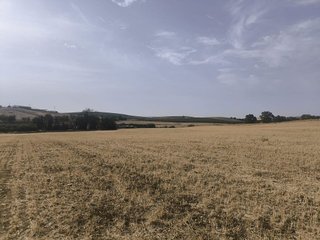 Terreno en venta en Arcos de la Frontera