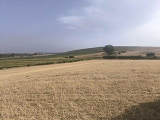 Terreno en venta en Arcos de la Frontera