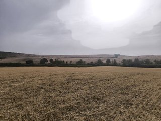 Terreno en venta en Arcos de la Frontera