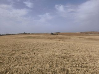 Terreno en venta en Arcos de la Frontera