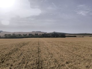Terreno en venta en Arcos de la Frontera