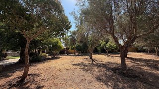 Casa rural en alquiler en Esporles