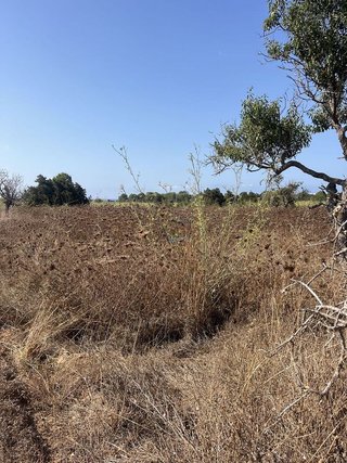 Terreno en venta en Sant Josep en Sant Josep de sa Talaia