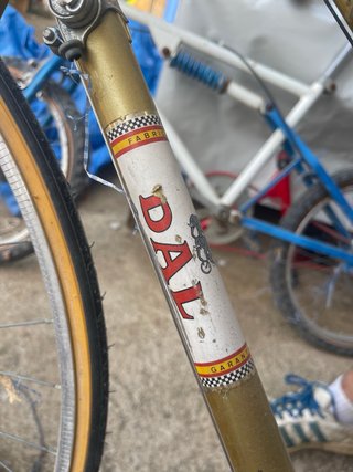 Bicicleta Clásica DAL 70s