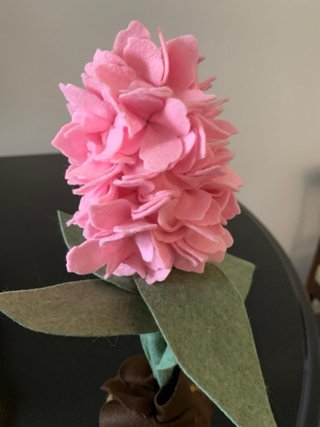 Giacinto in panno rosa