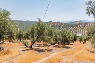 Terreno en venta en Archidona