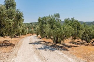 Terreno en venta en Archidona