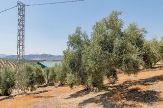 Terreno en venta en Archidona