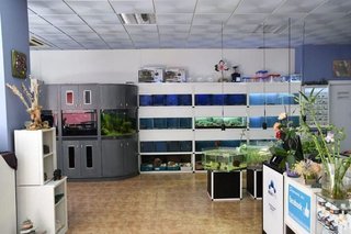 Local comercial en alquiler en Roquetas Centro en Roquetas de Mar