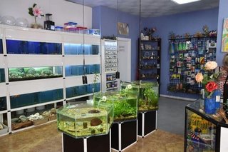 Local comercial en alquiler en Roquetas Centro en Roquetas de Mar