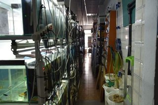 Local comercial en alquiler en Roquetas Centro en Roquetas de Mar