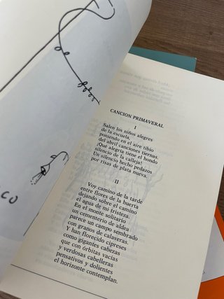 Lote libros infantiles (9/10años)
