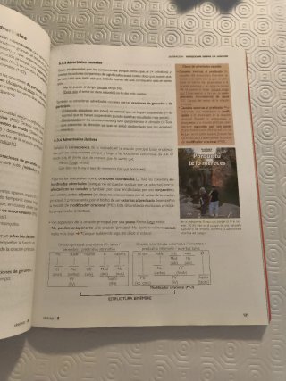 Lengua castellana y Literatura 1 BA Lengua coof...