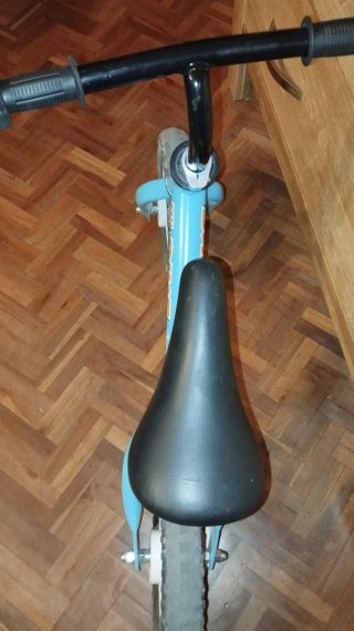 Bicicleta de aprendizaje azul