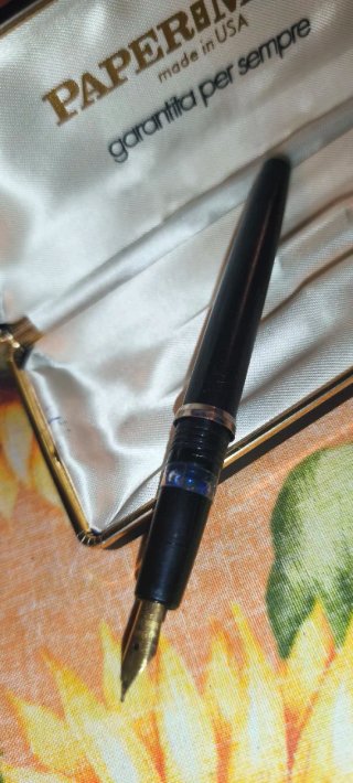 Penna stilografica Paper Mate Universal anni '60