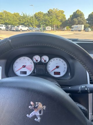 Peugeot 307 1.6 GASOLINA 2007