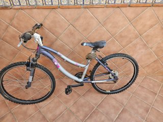Bicicleta Mujer