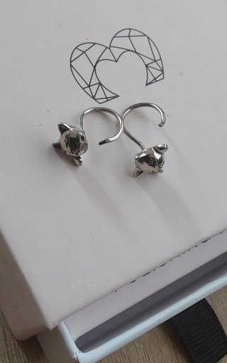 Pendientes gato Le Petite Marie plata