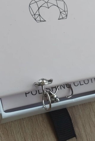 Pendientes gato Le Petite Marie plata