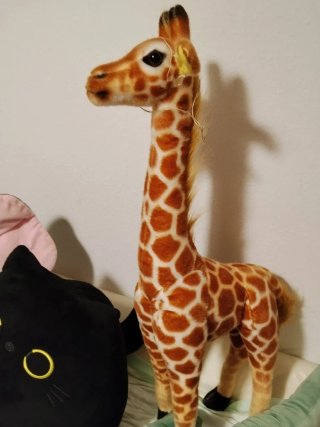Lote Peluches Jirafa, Gato, Elefante, Cocodrilo
