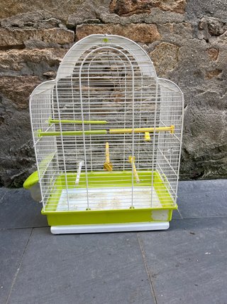 Jaula para pájaros blanca y verde