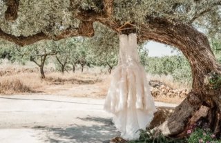 Vestido de Novia Rosa y Blanco