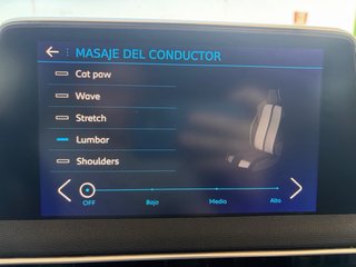 Peugeot 3008 GT Line 1.6 BlueHDi 120 CV