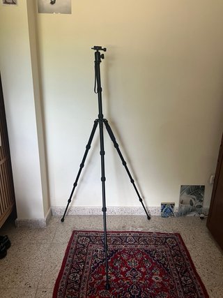 Trípode cámara profesional Braun Nox 145