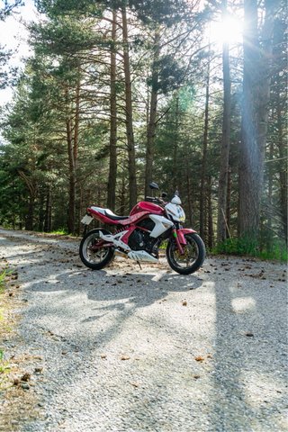 Kawasaki ER6n 2006 Rosa/Blanca