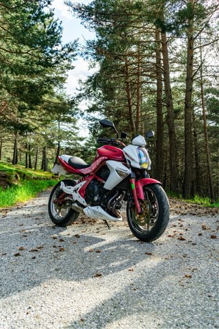 Kawasaki ER6n 2006 Rosa/Blanca