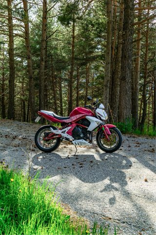 Kawasaki ER6n 2006 Rosa/Blanca