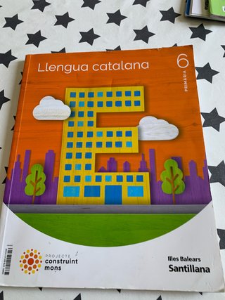 LLENGUA 6 PRIMARIA CONSTRUINT MONS