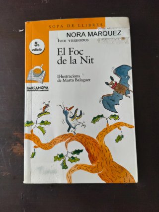 El Foc de la Nit
