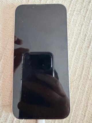 iPhone 13 Pro Max 256GB Plata