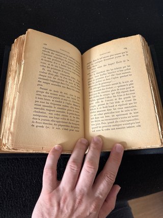 Libros en francés, reencuadernados. 10 € cada uno.