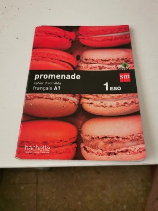 Promenade, français A1, 1 Secundaria Cahier d'a...
