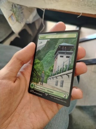 Magic The Gathering Bosque L0025