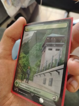 Magic The Gathering Bosque L0025