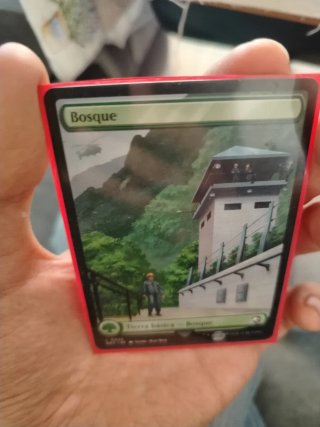 Magic The Gathering Bosque L0025