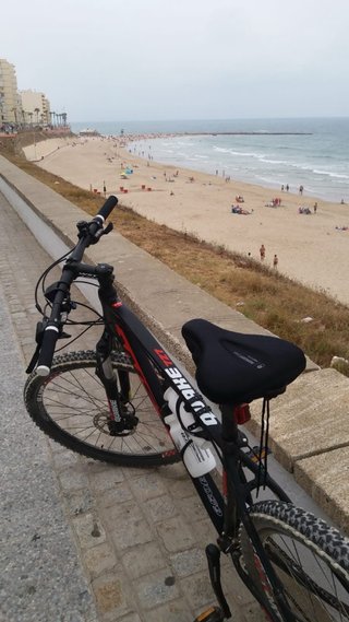 Bicicleta de Montaña Todo Bikes