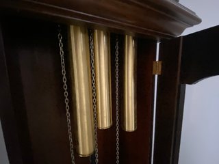 Reloj de pie Radiant Tempus Fugit antiguo
