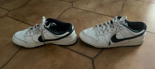 Nike Dunk Low FQ8080-133 Sneakers