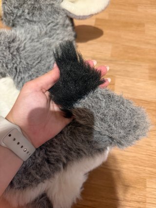 Peluche burro gris oscuro