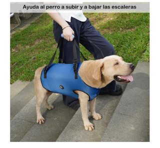 Arnés de Elevación para Perros Azul