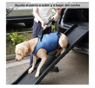 Arnés de Elevación para Perros Azul