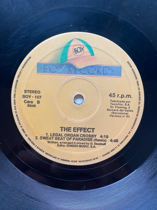 Vinilo Maxi The Effect Run Science 1992